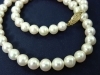 Freshwater Creamy White Pearl Gold Filled Necklace